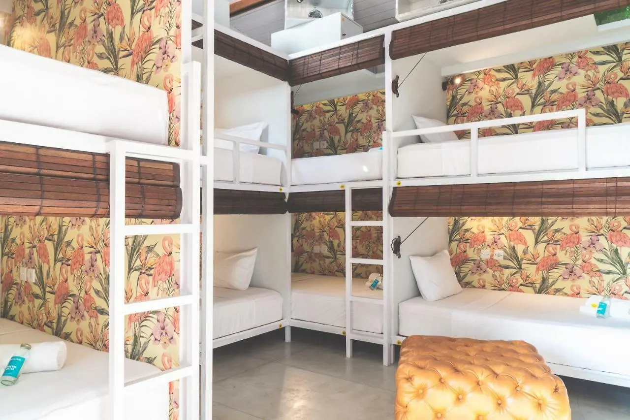 Socialista Lifestyle Hostel Σεμινιάκ