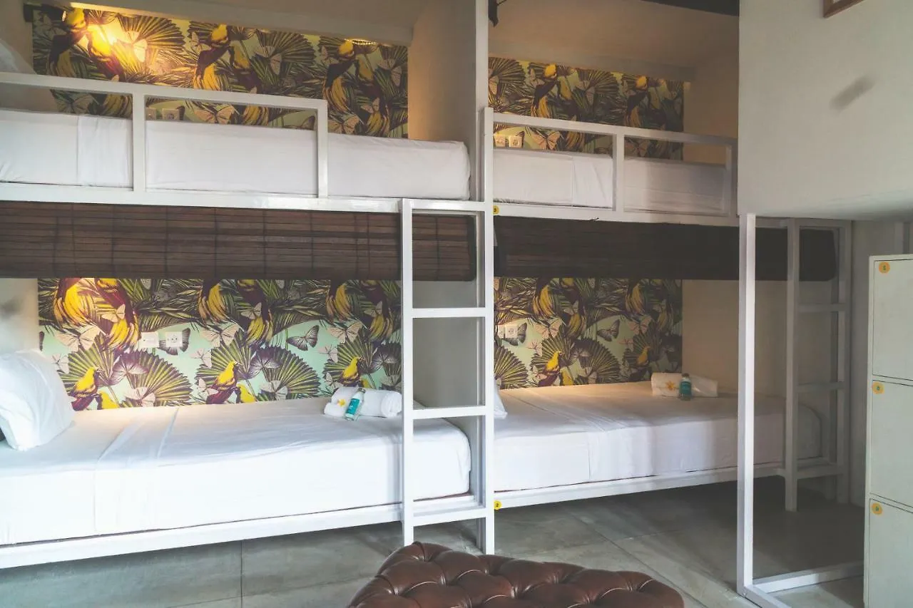 Socialista Lifestyle Hostel Σεμινιάκ