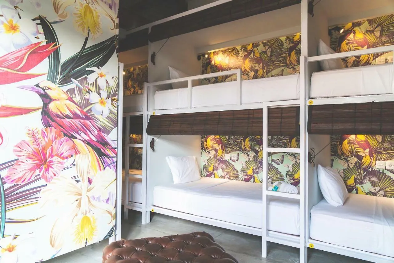 Socialista Lifestyle Hostel Σεμινιάκ