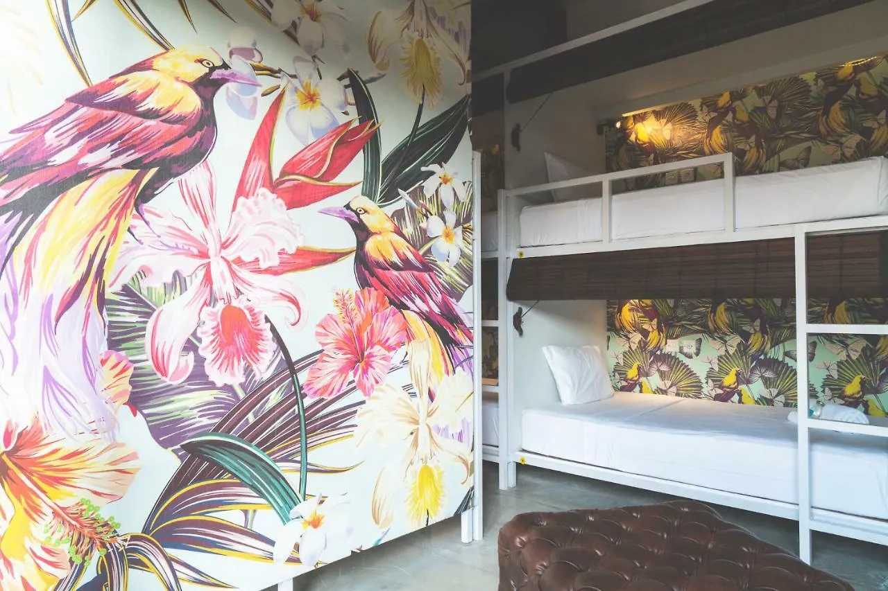 Socialista Lifestyle Hostel Σεμινιάκ