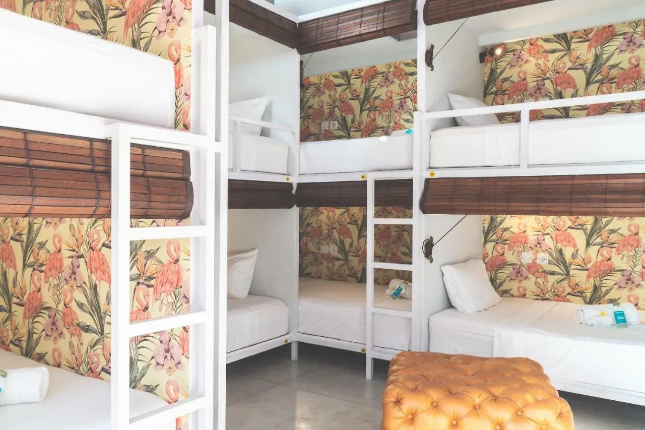 Socialista Lifestyle Hostel Σεμινιάκ